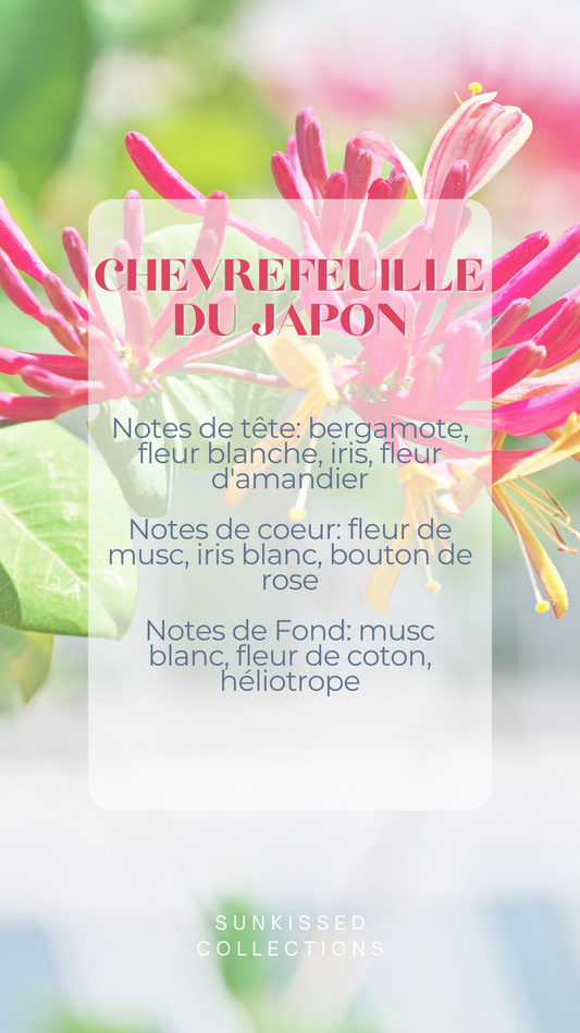 Fondant Parfumé - Chèvrefeuille du Japon