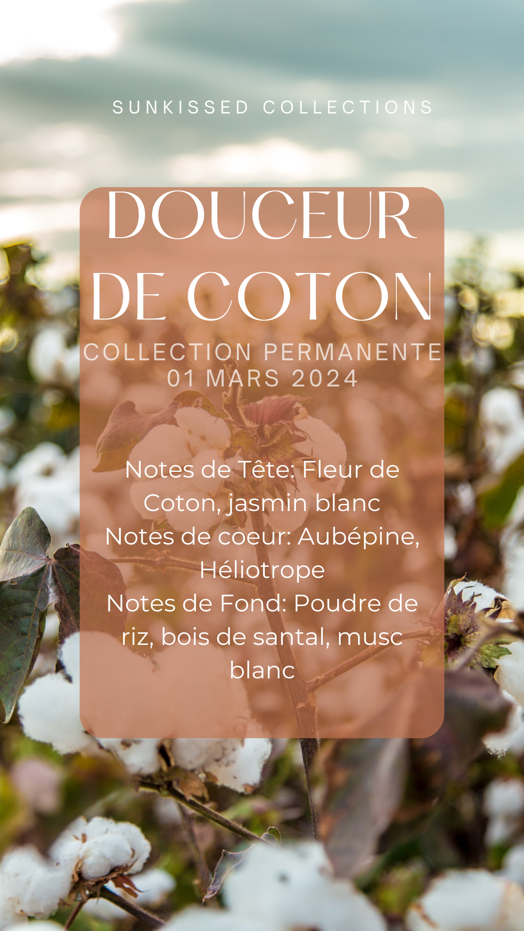 Fondant Parfumé - Cocooning