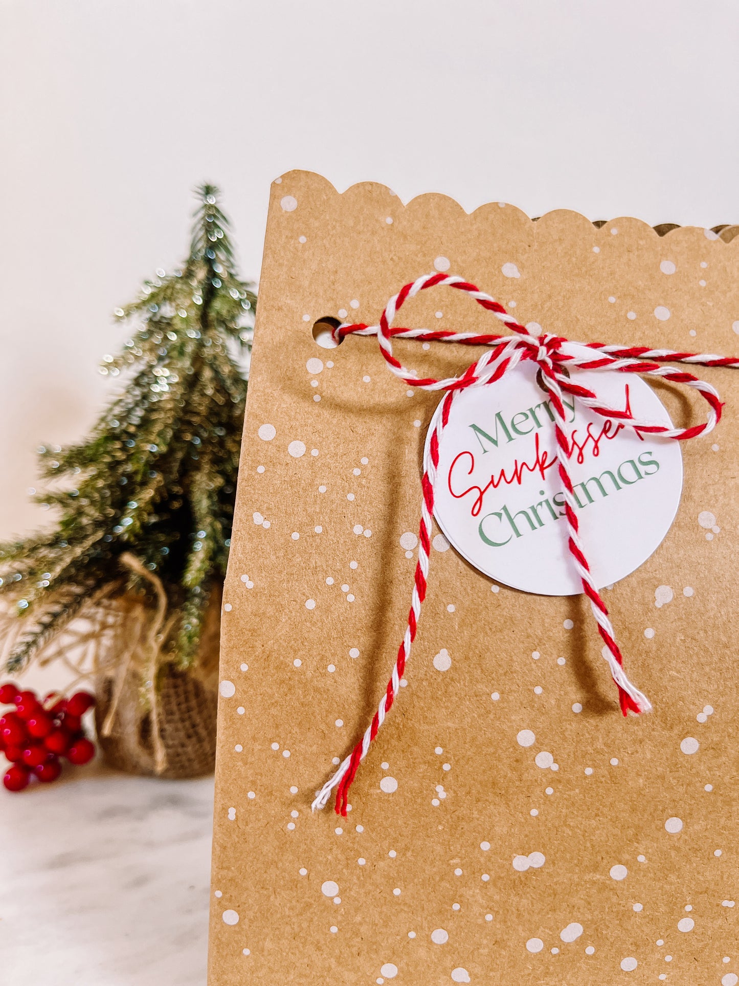 Coffret Sunkissed Christmas