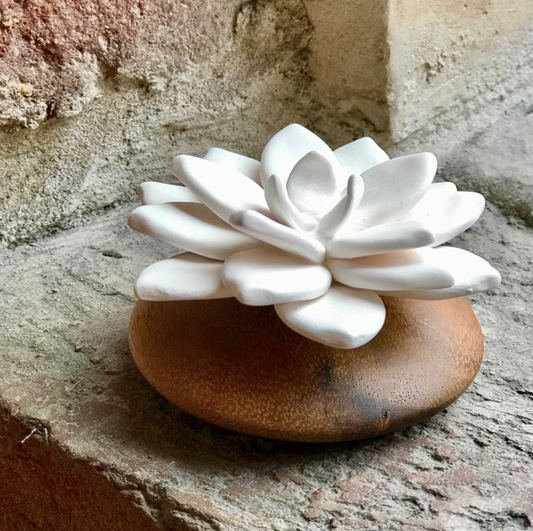 Diffuseur en Céramique - Star de Java