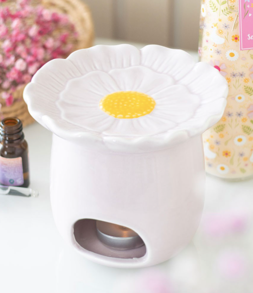 Brûleur Daisy Rose 🌺