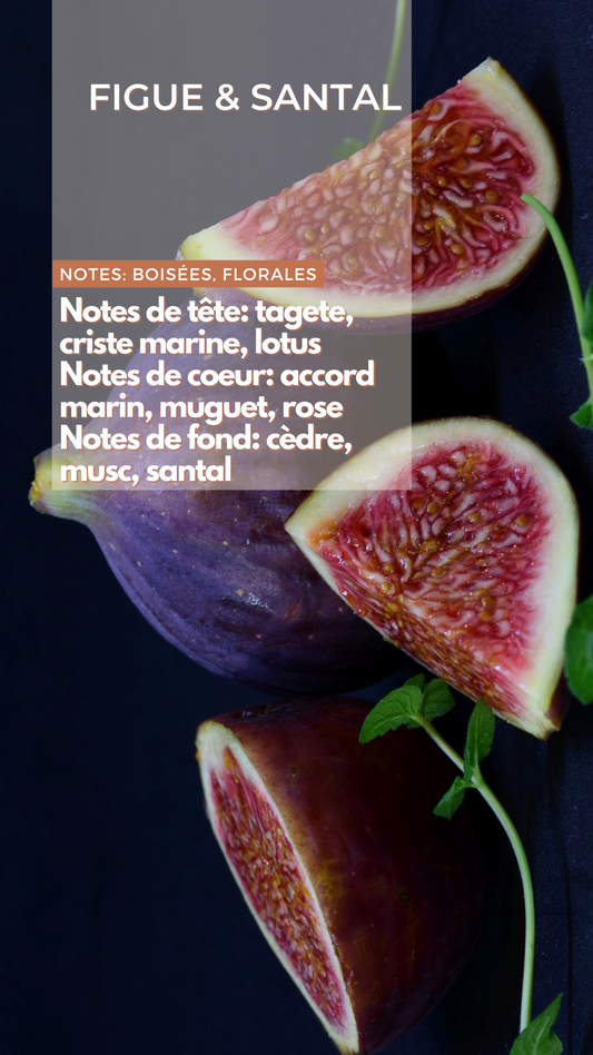 Bougie - Figue & Santal