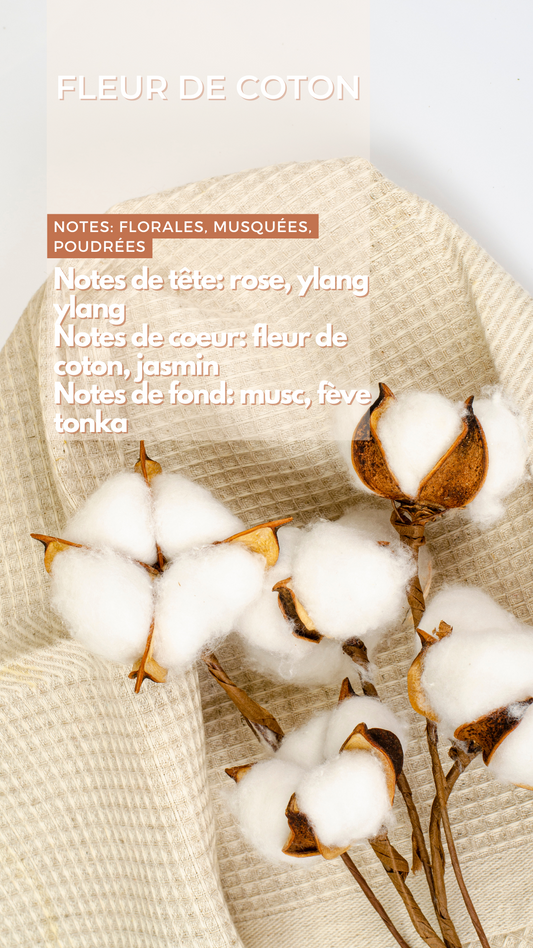 Bougie - Fleur de Coton