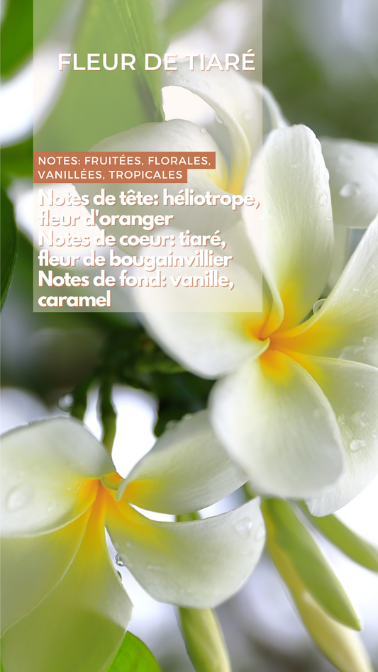 Fondant Parfumé - Fleur de Tiaré
