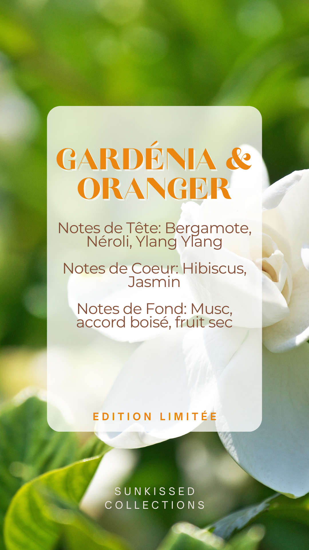 *Édition Limitée* Fondant Parfumé - Gardénia & Oranger
