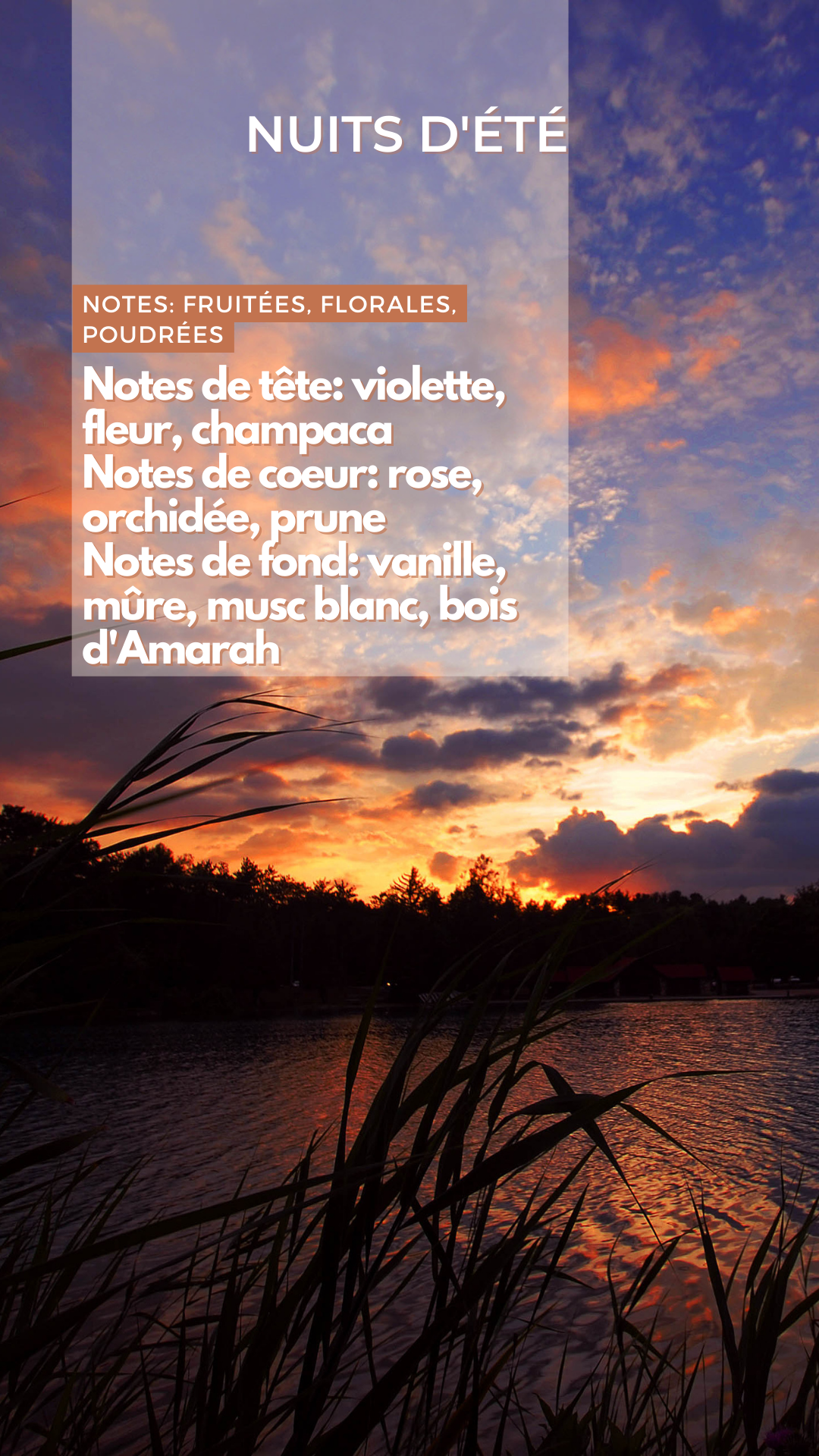 Bougie - Nuits d'Été