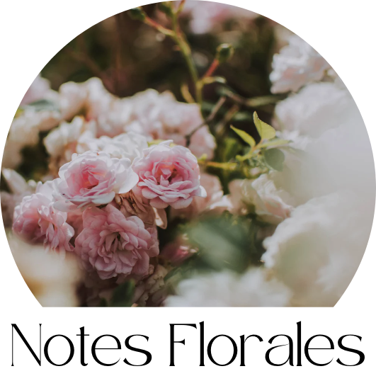 Notes Florales