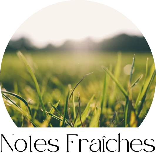 Notes Fraîches