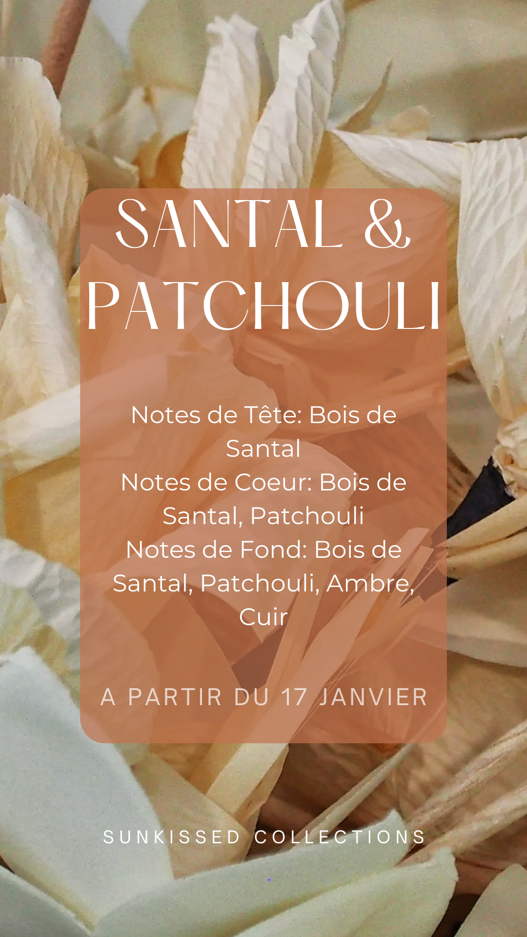 Fondant Parfumé - Santal & Patchouli