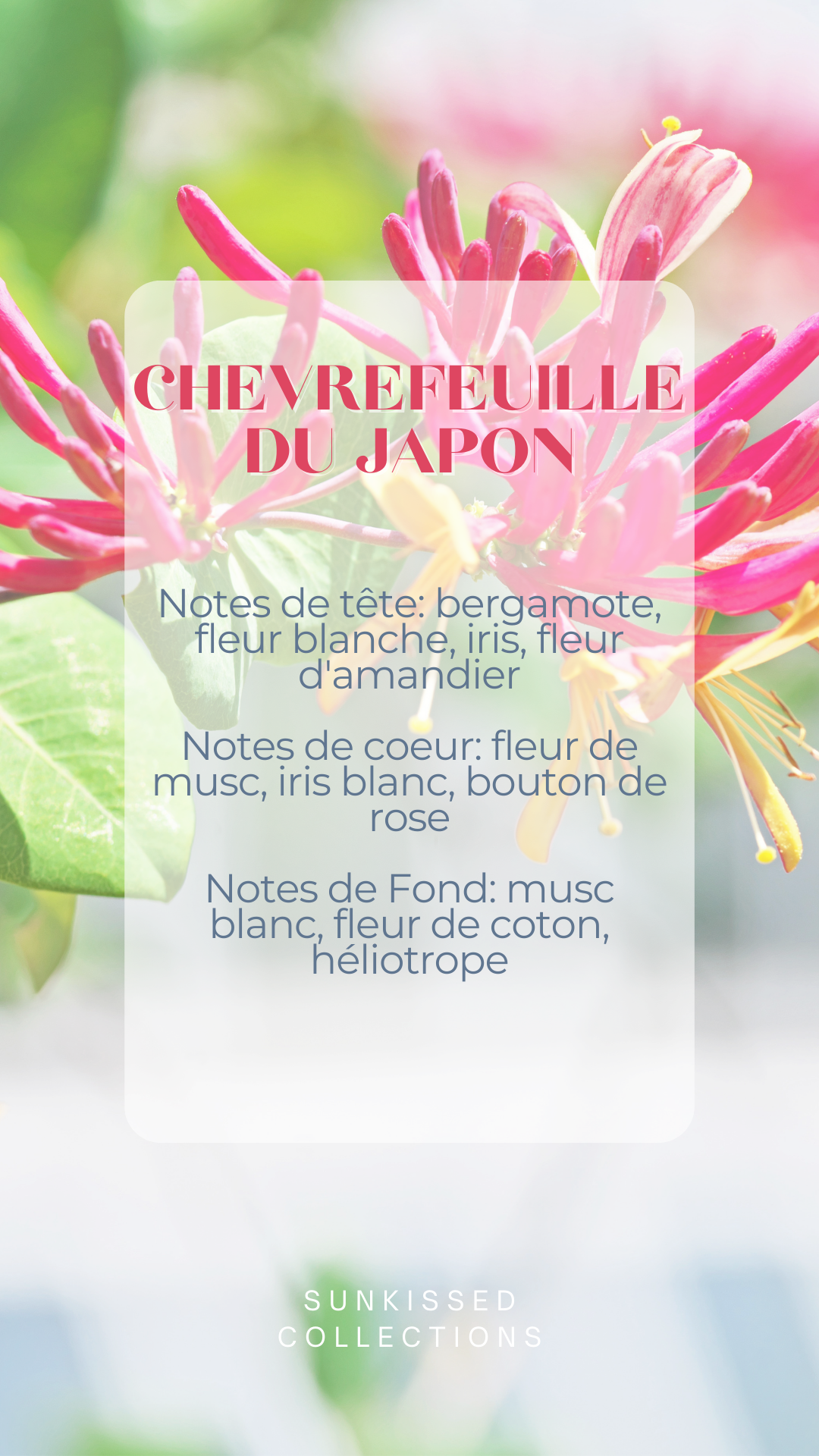 Fondant Parfumé - Chèvrefeuille du Japon