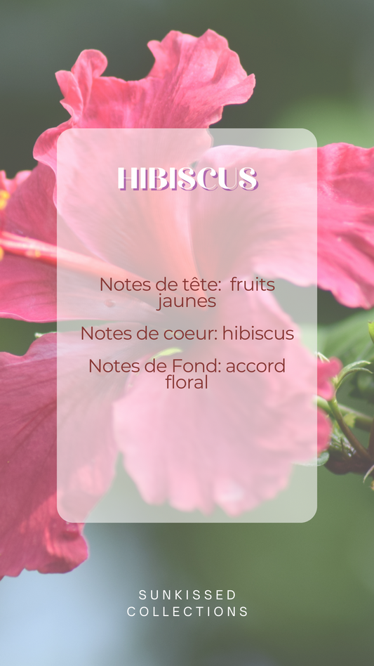 Fondant Parfumé - Hibiscus