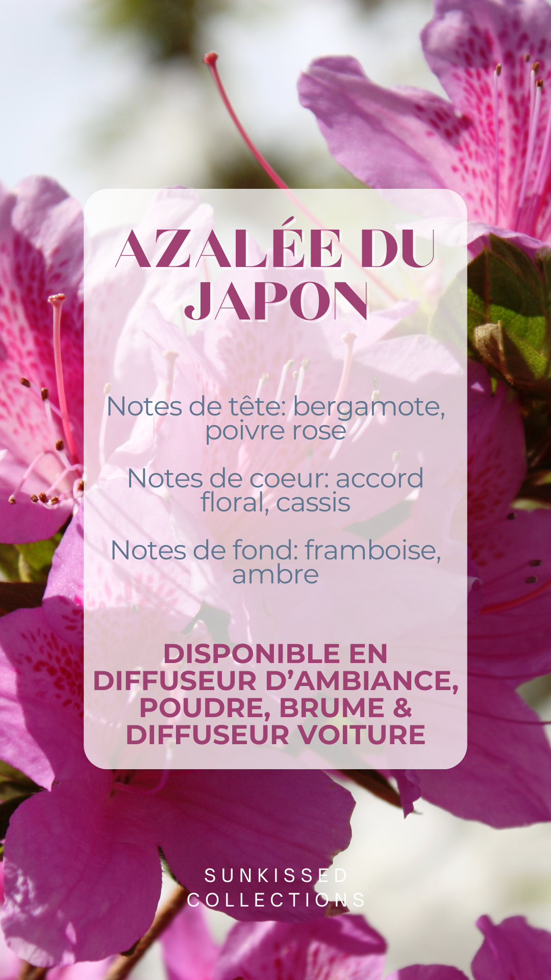 Fondant Parfumé - Azalée du Japon