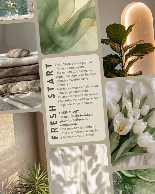 Abonnement Box Trimestrielle - Fondants Parfumés - FRESH START
