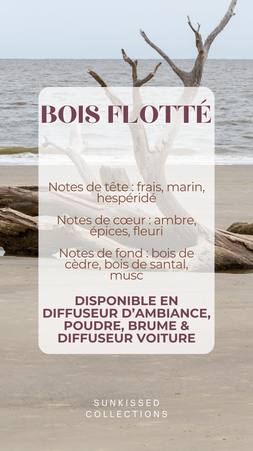 Fondant Parfumé - Bois Flotté