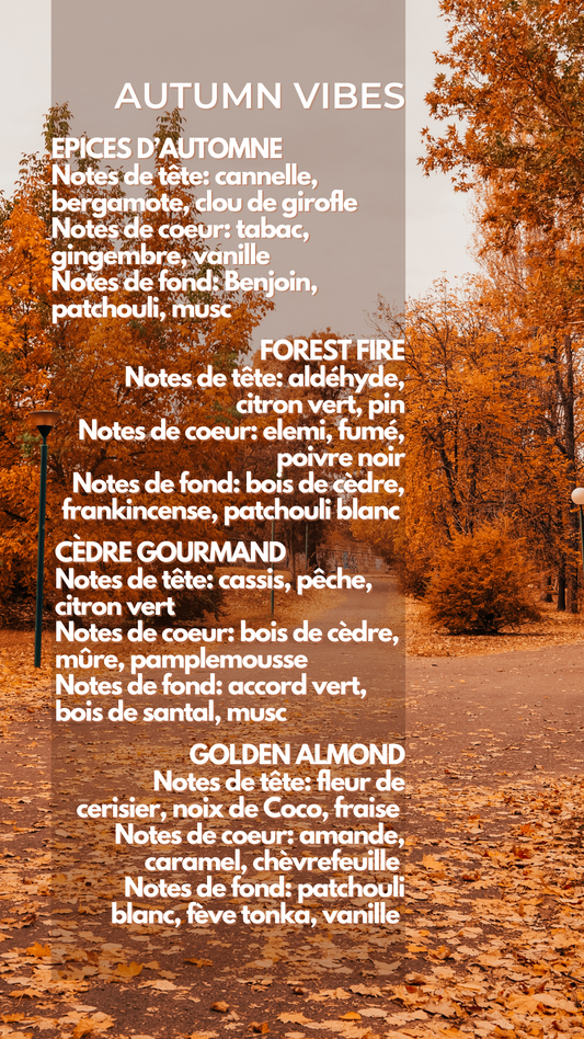 Coffret de Fondants Parfumés - Autumn Vibes