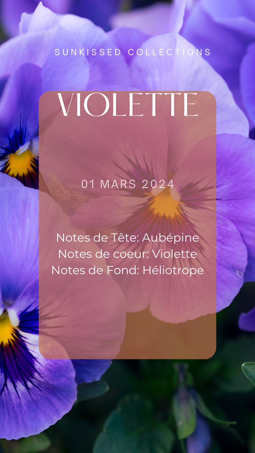 Fondant Parfumé - Violette