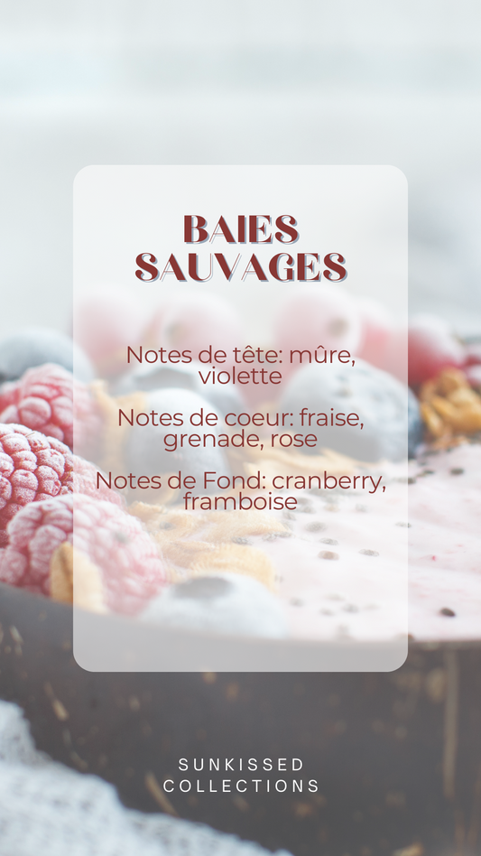 Bougie - Baies Sauvages