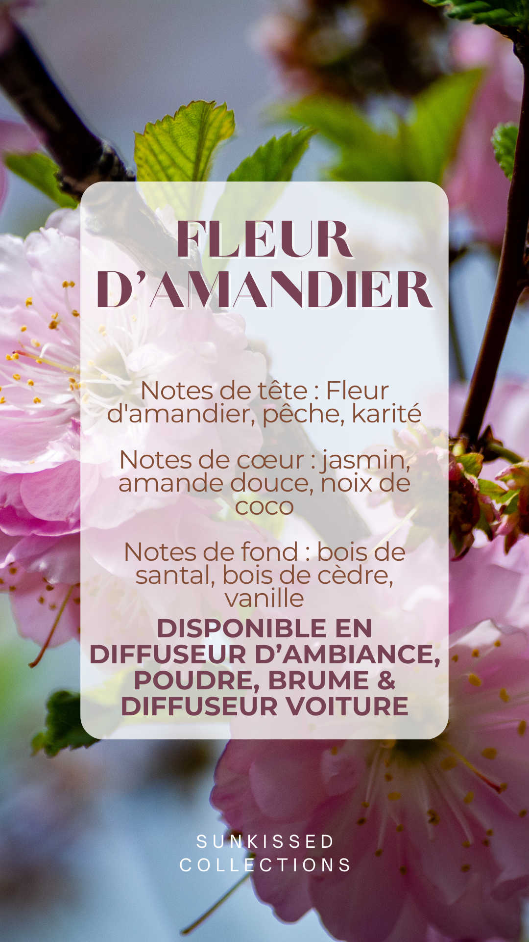 Bougie - Fleur d'Amandier