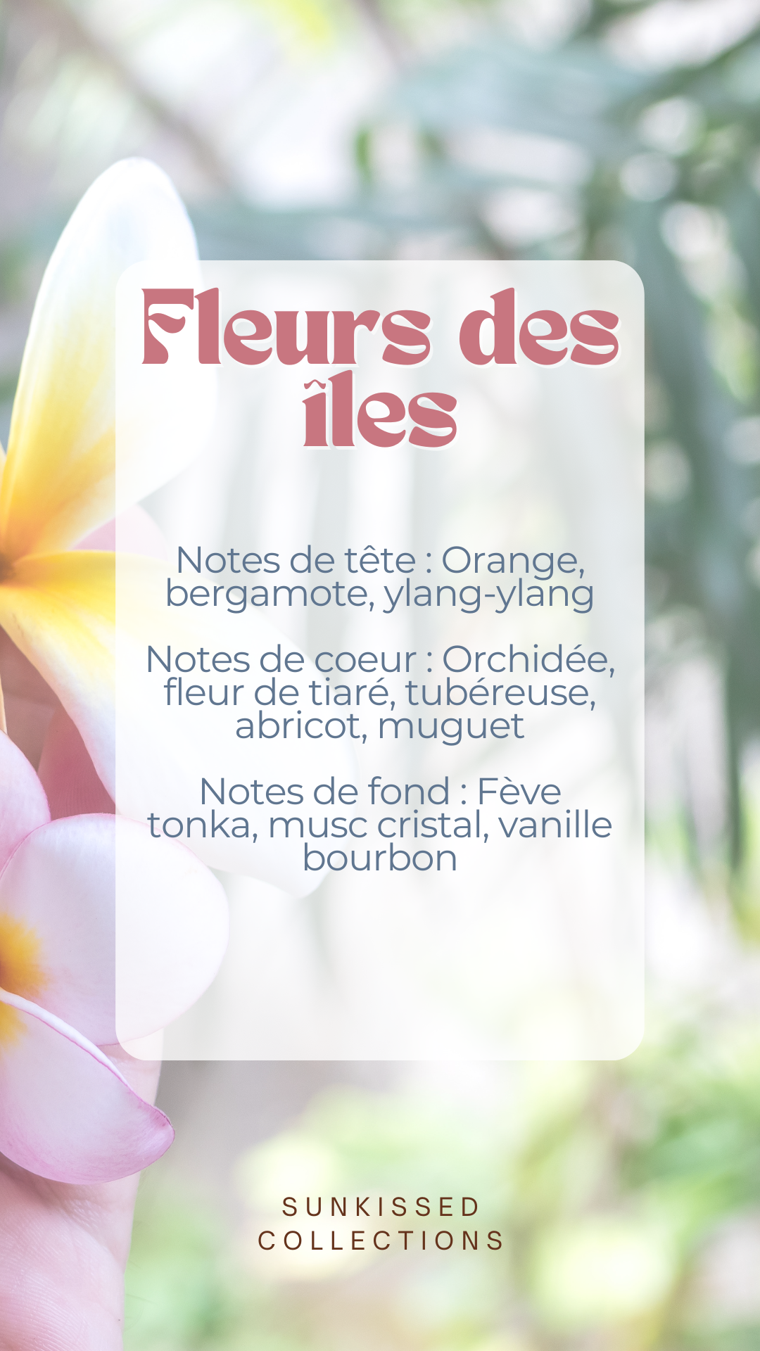 Fondant Parfumé - Fleurs des Îles