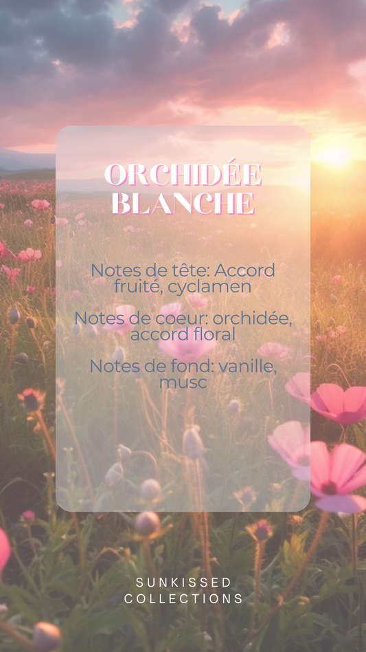 Bougie - Orchidée Blanche