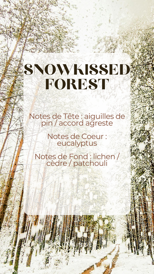 Fondant Parfumé - Snowkissed Forest