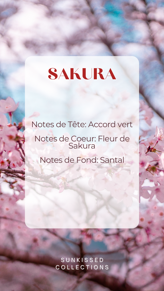 Bougie - Sakura