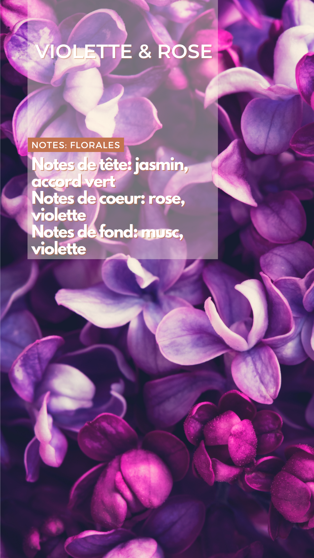 Bougie - Violette & Rose FIN DE SÉRIE