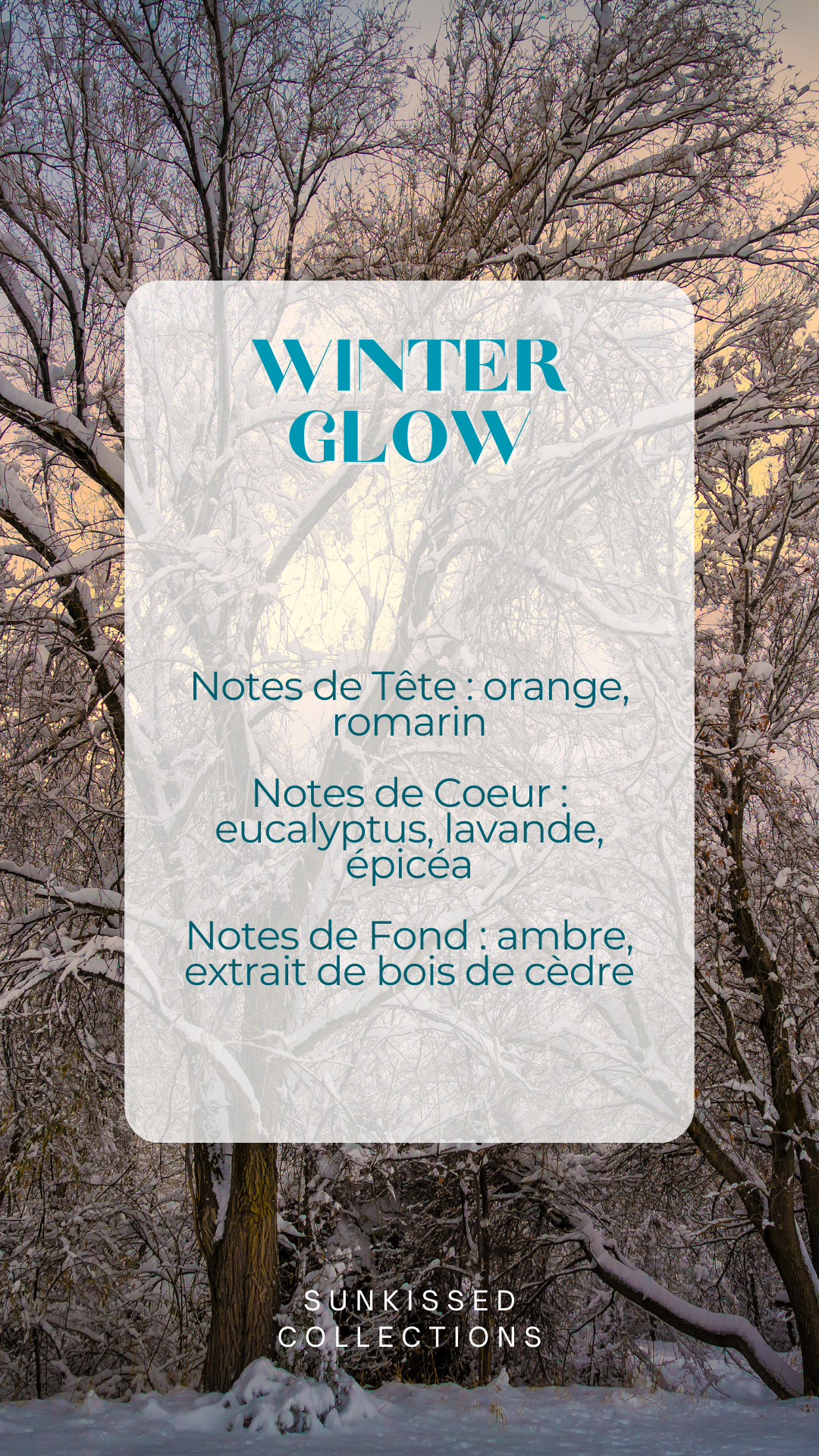 *Édition Limitée* Fondant Parfumé - Winter Glow